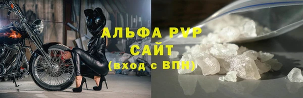 индика Богданович