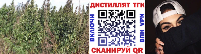 Дистиллят ТГК концентрат закладка даркнет наркотические препараты Дзержинский
