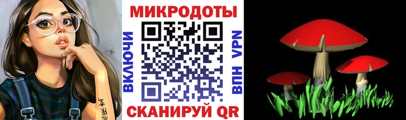 Псилоцибиновые грибы мицелий  блэк спрут tor  Дзержинский 